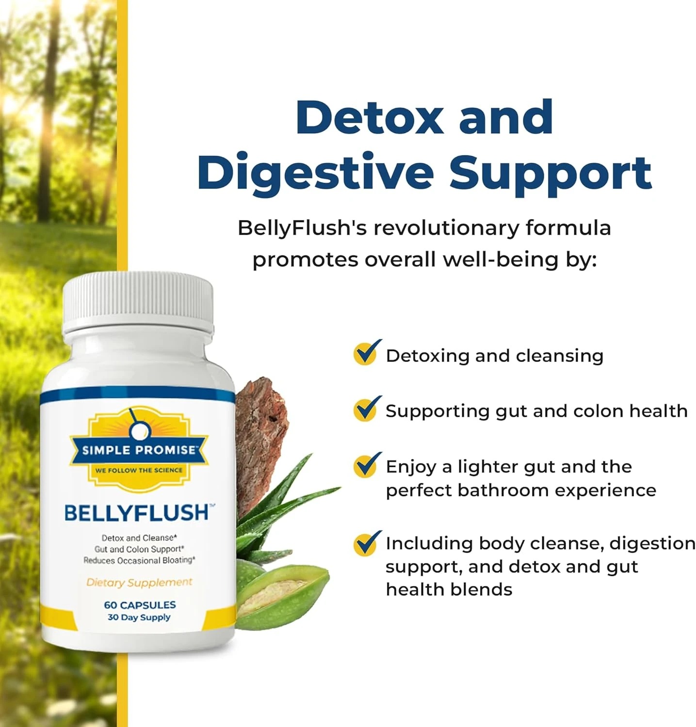 BellyFlush digestive benefits